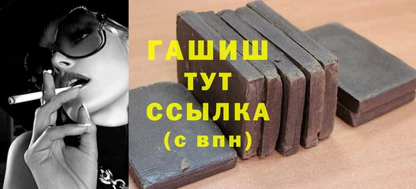 хмурый Пересвет