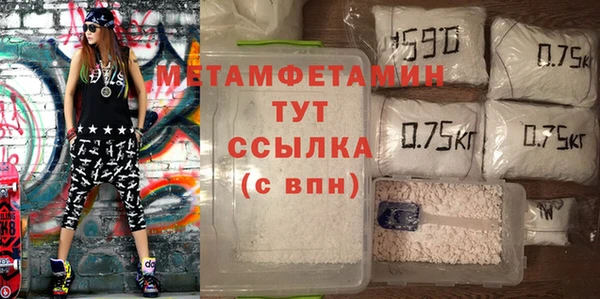 хмурый Пересвет