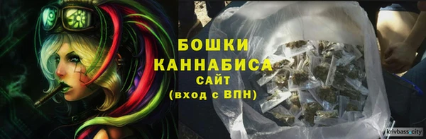 хмурый Пересвет