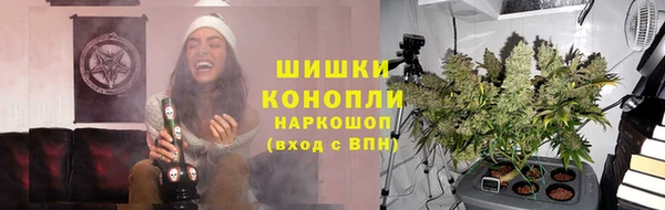 хмурый Пересвет