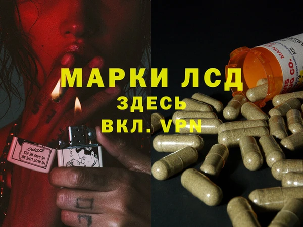 прущие грибы Остров