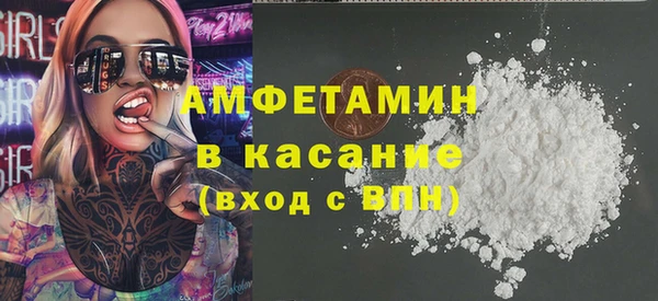 хмурый Пересвет