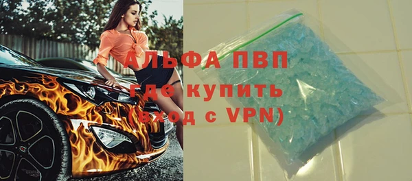 хмурый Пересвет