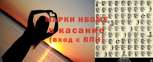 хмурый Пересвет