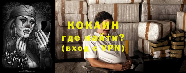 хмурый Пересвет