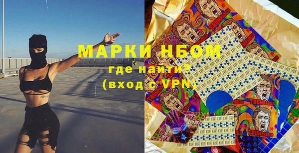 хмурый Пересвет