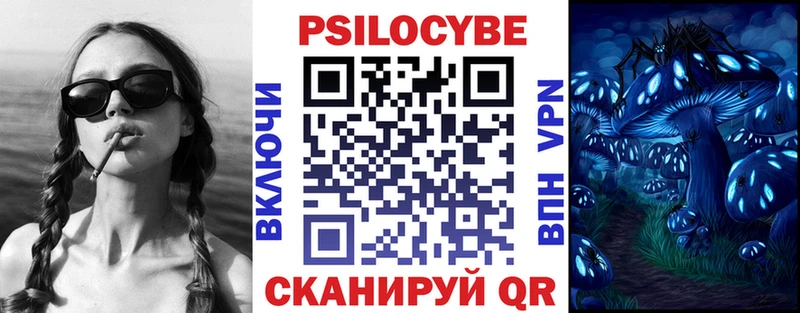 hydra зеркало  Заполярный  Псилоцибиновые грибы Cubensis  купить закладку 