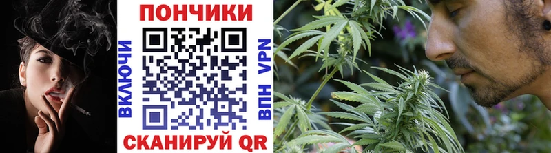 магазин Заполярный Конопля планчик